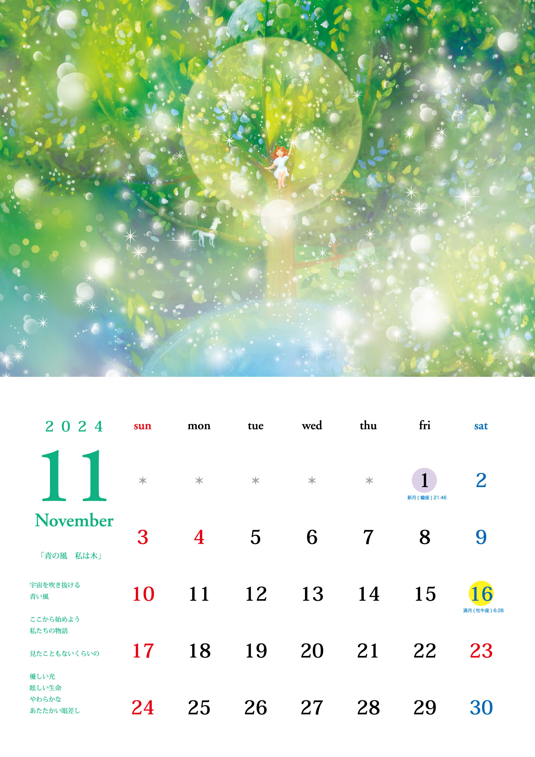 11月