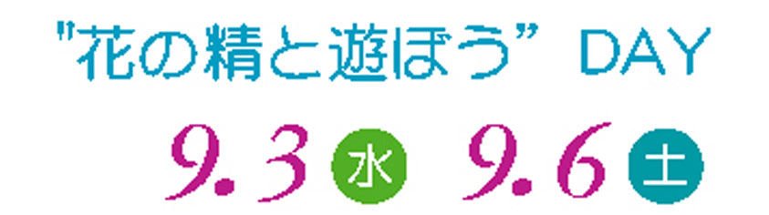 ws
